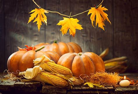 Thanksgiving: A Modern Interpretation of Pagan Rituals?